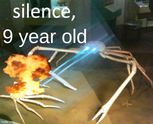 Silence Crab | 9 year old | image tagged in silence crab | made w/ Imgflip meme maker