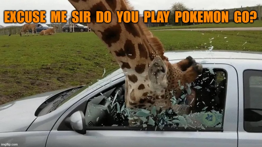 Pokemon Go | EXCUSE  ME  SIR  DO  YOU  PLAY  POKEMON  GO? | image tagged in giraffe head bash,pokemon,pokemon go | made w/ Imgflip meme maker