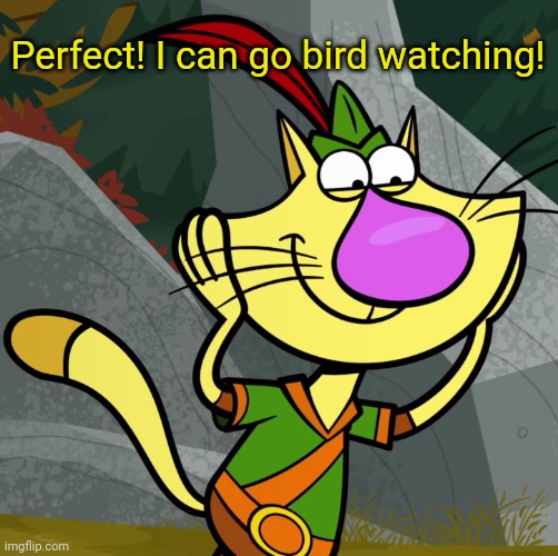OMG! (Nature Cat) | Perfect! I can go bird watching! | image tagged in omg nature cat | made w/ Imgflip meme maker