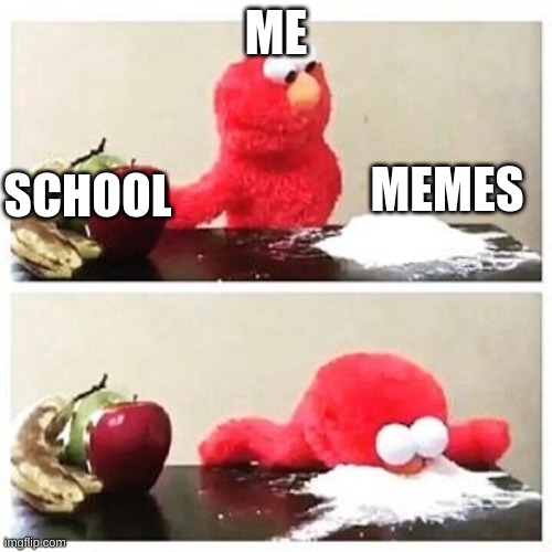 elmo cocaine | ME; SCHOOL; MEMES | image tagged in elmo cocaine | made w/ Imgflip meme maker