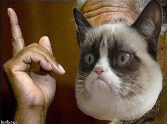 Morgan Freeman cat he's right you know | image tagged in morgan freeman cat he's right you know,he's right you know,morgan freeman,grumpy cat,reactions,reaction | made w/ Imgflip meme maker