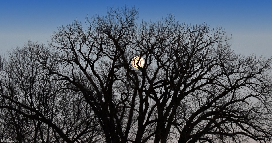 day moon | made w/ Imgflip meme maker