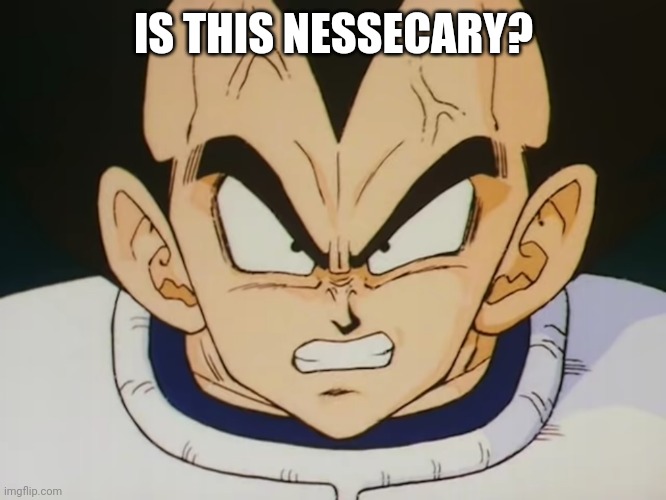Angry Vegeta (DBZ) | IS THIS NESSECARY? | image tagged in angry vegeta dbz | made w/ Imgflip meme maker
