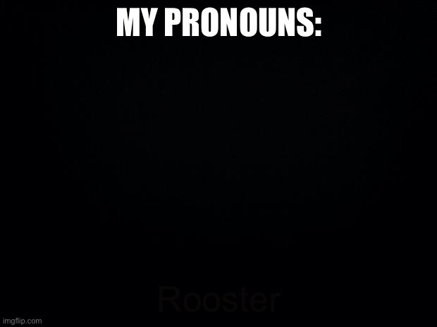 *wheeze* | MY PRONOUNS:; Rooster | image tagged in black background | made w/ Imgflip meme maker
