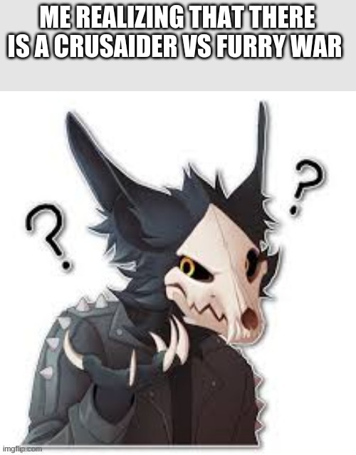 wtf happened? | ME REALIZING THAT THERE IS A CRUSAIDER VS FURRY WAR | image tagged in wingedwolf94 wtf | made w/ Imgflip meme maker