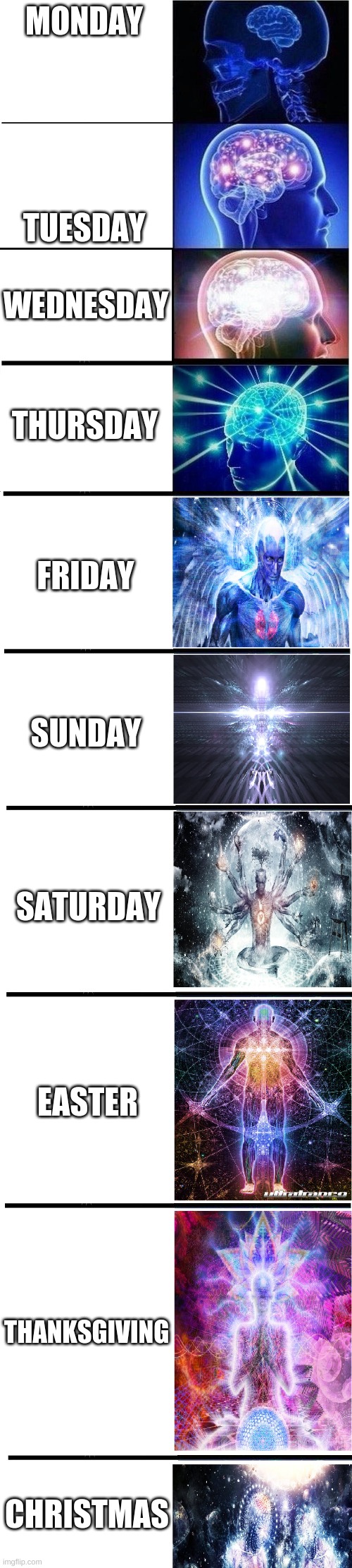 Expanding Brain (expanded) | MONDAY; TUESDAY; WEDNESDAY; THURSDAY; FRIDAY; SUNDAY; SATURDAY; EASTER; THANKSGIVING; CHRISTMAS | image tagged in expanding brain expanded | made w/ Imgflip meme maker