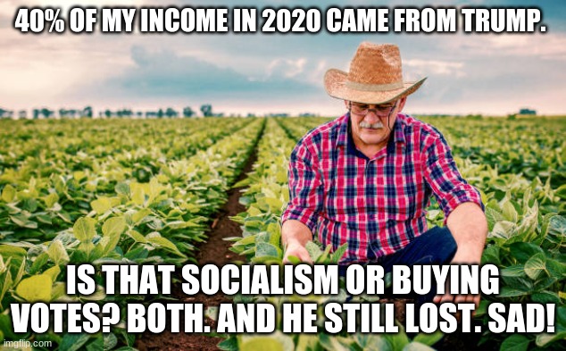 40% OF MY INCOME IN 2020 CAME FROM TRUMP. IS THAT SOCIALISM OR BUYING VOTES? BOTH. AND HE STILL LOST. SAD! | image tagged in trump | made w/ Imgflip meme maker