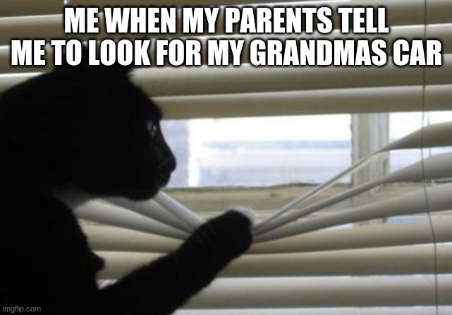 I GOT YOU GOOD F#¢KER | ME WHEN MY PARENTS TELL ME TO LOOK FOR MY GRANDMAS CAR | image tagged in i got you good f ker | made w/ Imgflip meme maker