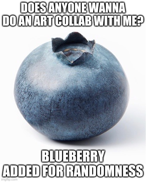 Blueberry | DOES ANYONE WANNA DO AN ART COLLAB WITH ME? BLUEBERRY ADDED FOR RANDOMNESS | image tagged in blueberry | made w/ Imgflip meme maker