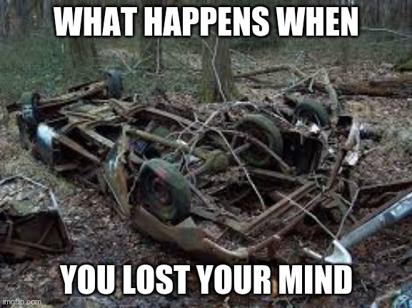 car damge | WHAT HAPPENS WHEN; YOU LOST YOUR MIND | image tagged in cars | made w/ Imgflip meme maker