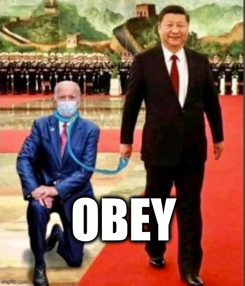 Jo Bai 'den | OBEY | image tagged in joe biden,xi jinping,1776-2021,obey | made w/ Imgflip meme maker