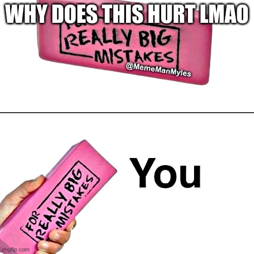 im a mistake | WHY DOES THIS HURT LMAO | image tagged in memes | made w/ Imgflip meme maker