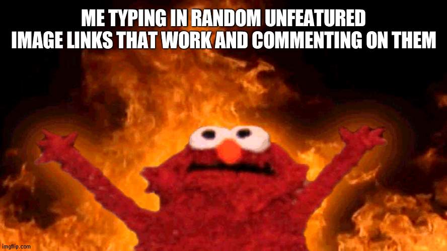 did this to 1 person lmao | ME TYPING IN RANDOM UNFEATURED IMAGE LINKS THAT WORK AND COMMENTING ON THEM | image tagged in elmo fire | made w/ Imgflip meme maker