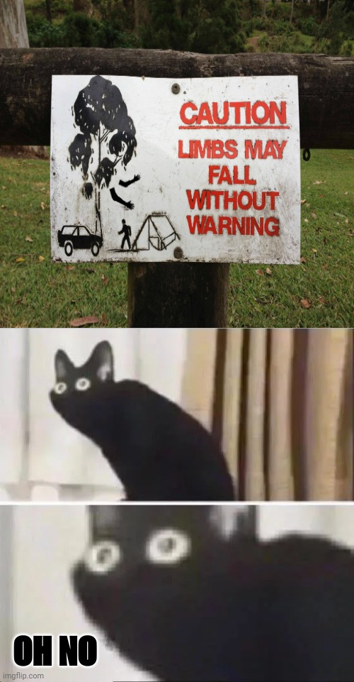 Caution sign: tree limbs | OH NO | image tagged in oh no black cat,oh no cat,funny,memes,trees,confused screaming | made w/ Imgflip meme maker
