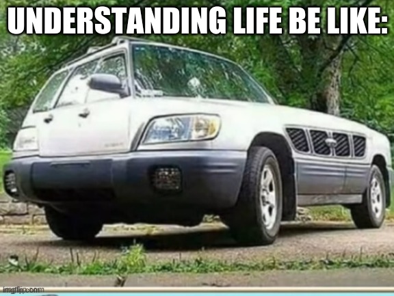 UNDERSTANDING LIFE BE LIKE: | image tagged in imgflip | made w/ Imgflip meme maker