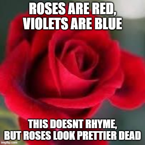 roses are red | ROSES ARE RED, VIOLETS ARE BLUE; THIS DOESNT RHYME, BUT ROSES LOOK PRETTIER DEAD | image tagged in roses are red | made w/ Imgflip meme maker