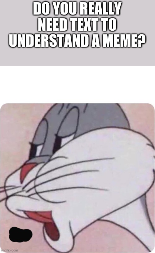Bugs Bunny No | DO YOU REALLY NEED TEXT TO UNDERSTAND A MEME? | image tagged in bugs bunny no | made w/ Imgflip meme maker