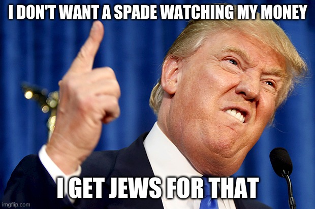 Donald Trump | I DON'T WANT A SPADE WATCHING MY MONEY I GET JEWS FOR THAT | image tagged in donald trump | made w/ Imgflip meme maker