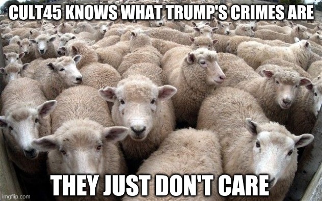sheeple | CULT45 KNOWS WHAT TRUMP'S CRIMES ARE THEY JUST DON'T CARE | image tagged in sheeple | made w/ Imgflip meme maker
