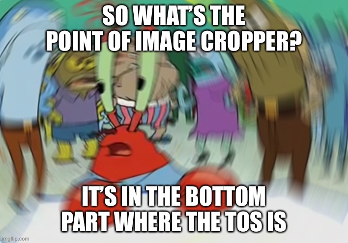 Mr Krabs Blur Meme Meme | SO WHAT’S THE POINT OF IMAGE CROPPER? IT’S IN THE BOTTOM PART WHERE THE TOS IS | image tagged in memes,mr krabs blur meme | made w/ Imgflip meme maker