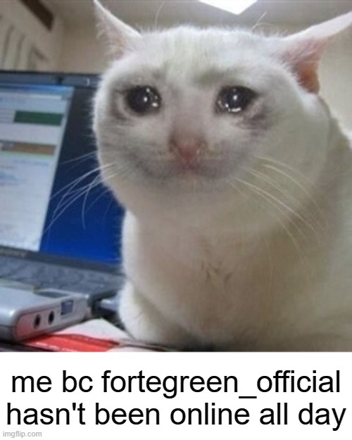 dont judge me im emotionally involved >.< | me bc fortegreen_official hasn't been online all day | image tagged in crying cat | made w/ Imgflip meme maker