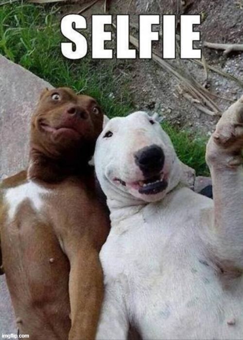 selfie time | image tagged in selfies | made w/ Imgflip meme maker