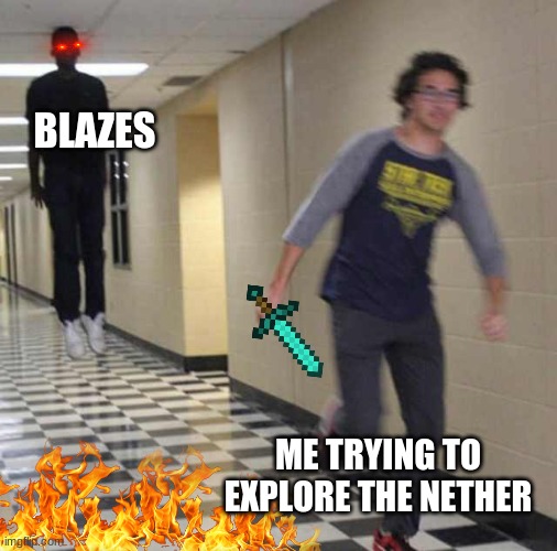floating boy chasing running boy | BLAZES; ME TRYING TO EXPLORE THE NETHER | image tagged in floating boy chasing running boy | made w/ Imgflip meme maker