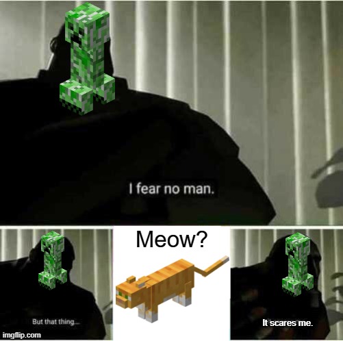 creeper is scared | Meow? It scares me. | image tagged in i fear no man | made w/ Imgflip meme maker