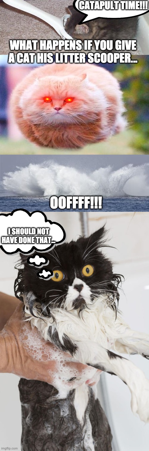 CATapult | CATAPULT TIME!!! WHAT HAPPENS IF YOU GIVE A CAT HIS LITTER SCOOPER... OOFFFF!!! I SHOULD NOT HAVE DONE THAT... | image tagged in grumpy cat,cats,cat | made w/ Imgflip meme maker