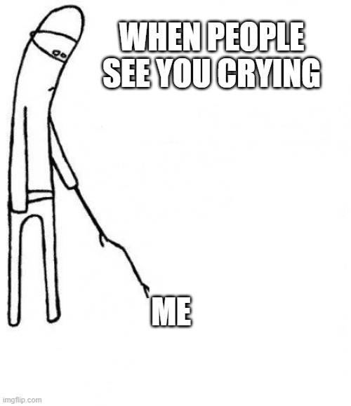 You Okay? | WHEN PEOPLE SEE YOU CRYING; ME | image tagged in c'mon do something | made w/ Imgflip meme maker