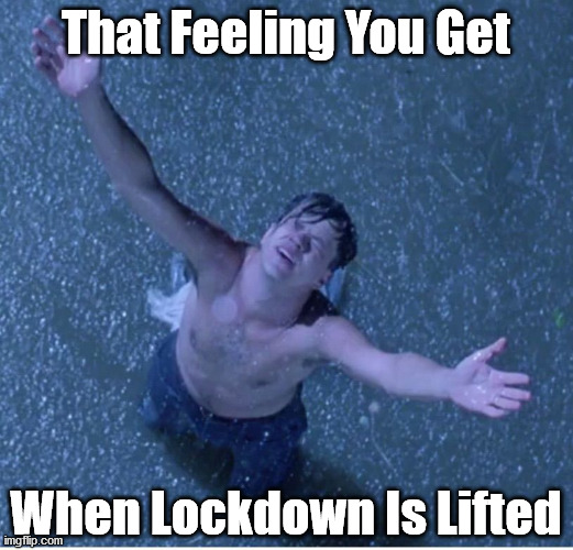 Freedom | That Feeling You Get; When Lockdown Is Lifted | image tagged in shawshank redemption freedom,lockdown,freedom | made w/ Imgflip meme maker