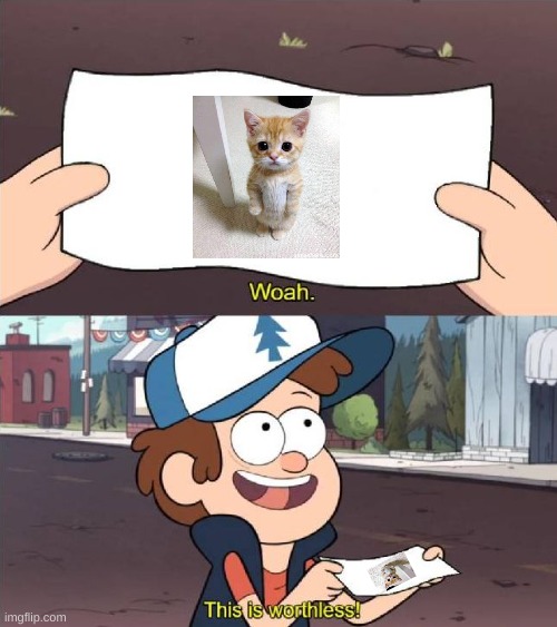 Dipper's Wortless Cat Pic | image tagged in dipper pines,worthless | made w/ Imgflip meme maker