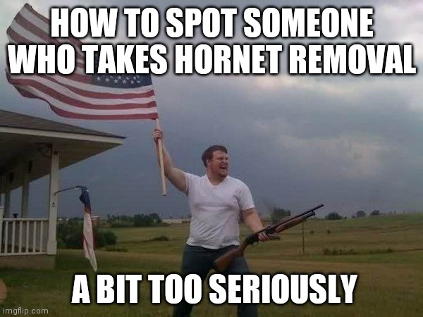 Murder Hornets, people just hate em! | HOW TO SPOT SOMEONE WHO TAKES HORNET REMOVAL; A BIT TOO SERIOUSLY | image tagged in american flag shotgun guy,murder hornet | made w/ Imgflip meme maker