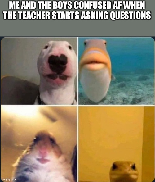 online classes | ME AND THE BOYS CONFUSED AF WHEN THE TEACHER STARTS ASKING QUESTIONS | image tagged in online classes | made w/ Imgflip meme maker