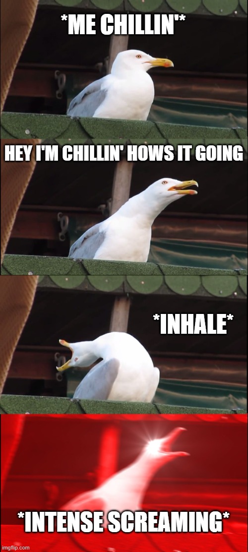 he's just chilli- OH MY GOD | *ME CHILLIN'*; HEY I'M CHILLIN' HOWS IT GOING; *INHALE*; *INTENSE SCREAMING* | image tagged in memes,inhaling seagull | made w/ Imgflip meme maker