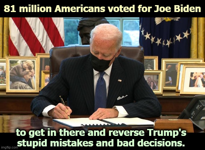 Nobody sent Biden to Washington to rubber-stamp Trump's gross incompetence. | 81 million Americans voted for Joe Biden; to get in there and reverse Trump's 
stupid mistakes and bad decisions. | image tagged in biden,smart,trump,dumb,incompetence | made w/ Imgflip meme maker