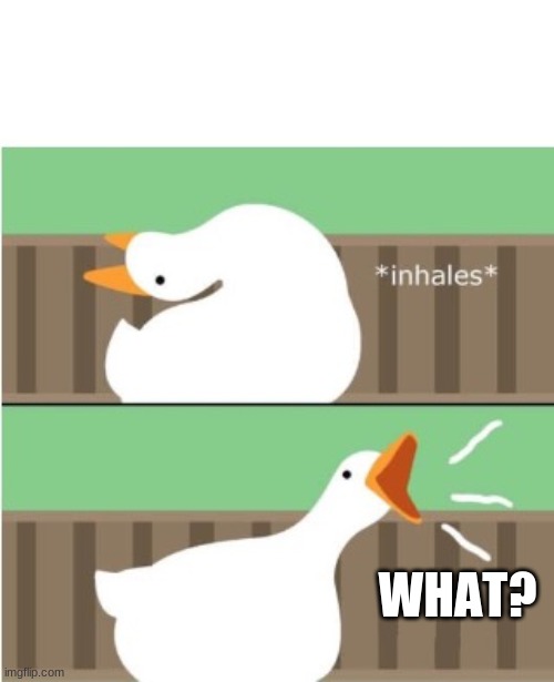 Untitled goose game honk | WHAT? | image tagged in untitled goose game honk | made w/ Imgflip meme maker