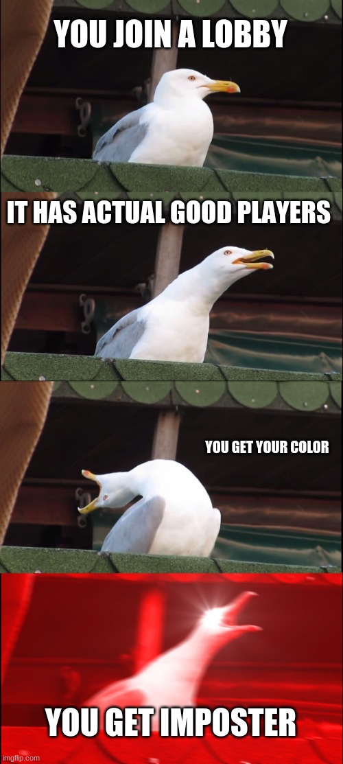 Inhaling Seagull | YOU JOIN A LOBBY; IT HAS ACTUAL GOOD PLAYERS; YOU GET YOUR COLOR; YOU GET IMPOSTER | image tagged in memes,inhaling seagull | made w/ Imgflip meme maker