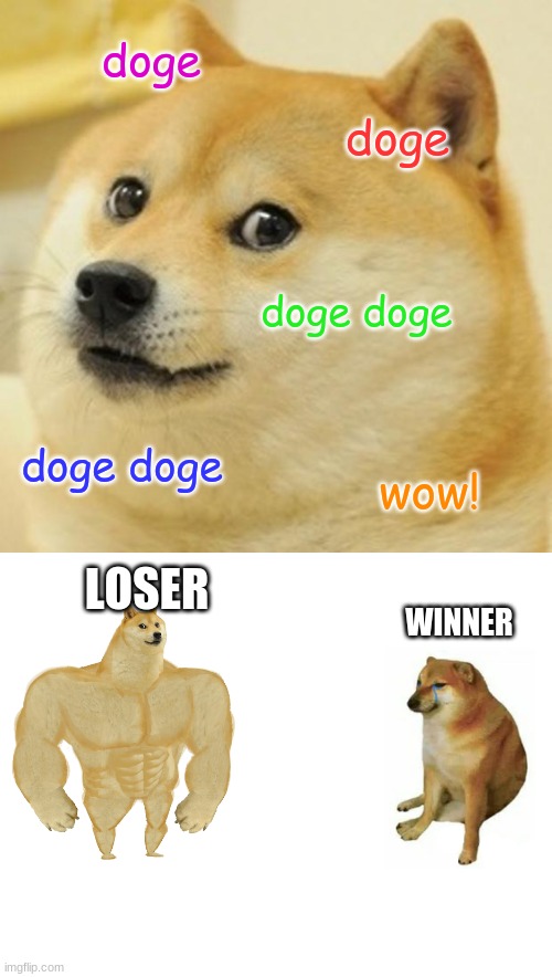 doge; doge; doge doge; doge doge; wow! LOSER; WINNER | image tagged in memes,doge,buff doge vs cheems | made w/ Imgflip meme maker
