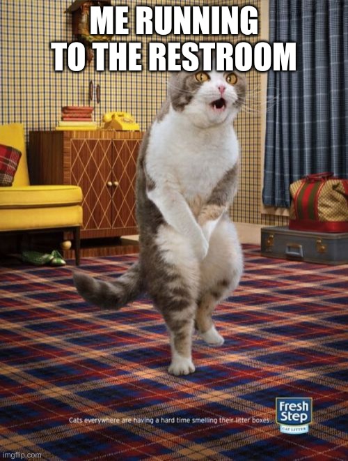 Gotta Go Cat | ME RUNNING TO THE RESTROOM | image tagged in memes,gotta go cat | made w/ Imgflip meme maker