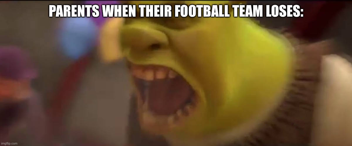 While They Ironically Tell You Not To Get Mad Over Games |  PARENTS WHEN THEIR FOOTBALL TEAM LOSES: | image tagged in shrek screaming,parents,football | made w/ Imgflip meme maker