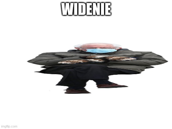 what | WIDENIE | image tagged in blank white template | made w/ Imgflip meme maker
