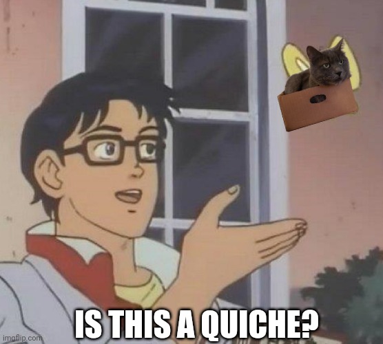 Is this a quiche? | IS THIS A QUICHE? | image tagged in is this butterfly | made w/ Imgflip meme maker