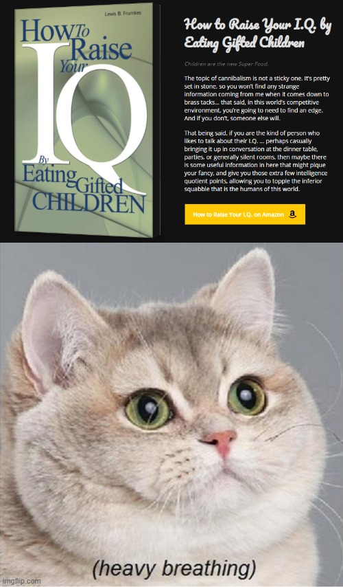 link to the amazon page thing in comments... | image tagged in cat heavy breathing | made w/ Imgflip meme maker