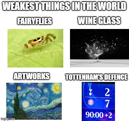 How weak can tottenham's defence get | WEAKEST THINGS IN THE WORLD; WINE GLASS; FAIRYFLIES; TOTTENHAM'S DEFENCE; ARTWORKS | image tagged in blank white template | made w/ Imgflip meme maker