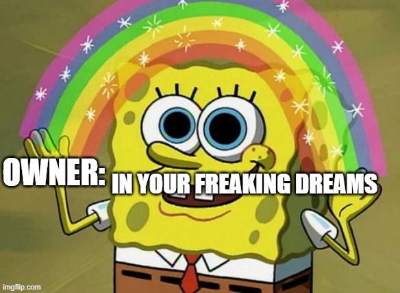 Imagination Spongebob Meme | OWNER: IN YOUR FREAKING DREAMS | image tagged in memes,imagination spongebob | made w/ Imgflip meme maker