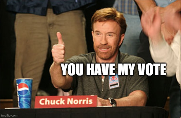 Chuck Norris Approves Meme | YOU HAVE MY VOTE | image tagged in memes,chuck norris approves,chuck norris | made w/ Imgflip meme maker