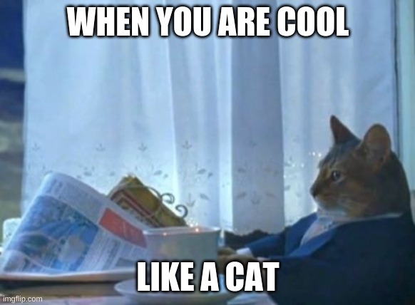 fun cat | WHEN YOU ARE COOL; LIKE A CAT | image tagged in memes,i should buy a boat cat | made w/ Imgflip meme maker