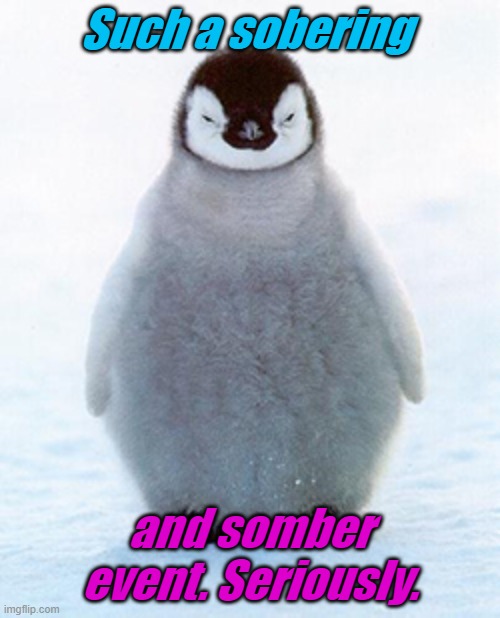 Angry penguin | Such a sobering and somber event. Seriously. | image tagged in angry penguin | made w/ Imgflip meme maker