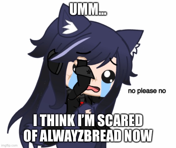 no please no | UMM... I THINK I’M SCARED OF ALWAYZBREAD NOW | image tagged in no please no | made w/ Imgflip meme maker